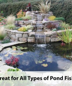 Kaytee Koi's Choice Koi Floating Fish Food, 25 Pound 25 Pound (Pack of 1) 16 910RK5JIrtL