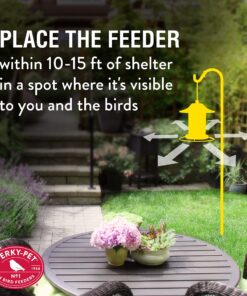 Perky-Pet 312-1SR Outdoor Panorama Wild Bird Feeder - 2 Lb Seed Capacity Brown 30 910YQi q UL