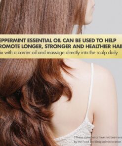 Sun Essential Oils 4oz - Sandalwood Essential Oil - 4 Fluid Ounces 4 Fl Oz (Pack of 1) 15 910YXvi7QkL