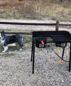 Camp Chef Reversible Pre-Seasoned Cast Iron Griddle, Cooking Surface 14 in. x 16 19 910Z c3ahML