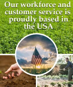 22,000 Non GMO Heirloom Vegetable Seeds, Survival Garden, Emergency Seed Vault, 34 VAR, Bug Out Bag - Beet, Broccoli, Carrot, Corn, Basil, Pumpkin, Radish, Tomato, More 30 910fTmruI3L