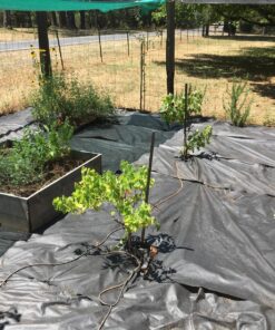 Scotts 203235 SC3X150 Weed Barrier Fabric, 150-Foot, Black 25-Year 25 910lNz0XlGL