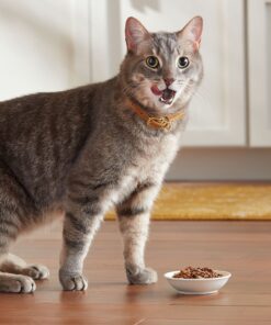 Meow Mix Tender Favorites Wet Cat Food, Poultry & Beef Variety Pack, 2.75 Ounce (Pack of 24) (Packaging May Vary) Variety Pack: Poultry & Beef 2.75 Ounce (Pack of 24) 31 910rXuLjLL