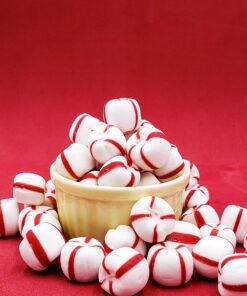 King Leo Soft Peppermint Candy 5lb Standard Packaging 10 910uEnC9m6L