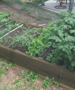 Heirloom Seeds for Planting Vegetables and Fruits - Survival Essentials 135 Variety Seed Vault - Medicinal Herb Seeds - Grow Healthy Non-GMO Food 56 910vTlyej7L