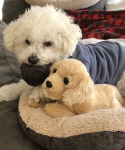 Aurora® Adorable Flopsie™ Goldie™ Stuffed Animal - Playful Ease - Timeless Companions - Brown 12 Inches Single 22 910yUYbUtzL