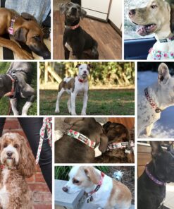 Blueberry Pet Essentials Spring Scent Inspired Garden Floral Adjustable Dog Collar in Baby Pink, Large, Neck 18"-26" Garden Floral - Baby Pink 8 910z1TsOQ3L 1