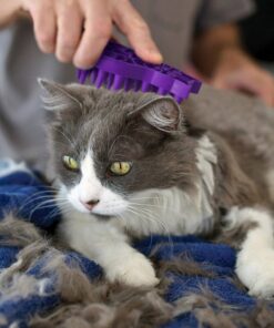 KONG - Cat ZoomGroom Purple 26 911541SrwEL