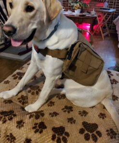 Seresto Large Dog Vet-Recommended Flea & Tick Treatment & Prevention Collar for Dogs Over 18 lbs. | 8 Months Protection 1 Pack Large Dog Only 41 911CzduoU5L