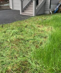 EDMBG Set of 2 - Heavy Duty Machetes, 18" inch, Survival Knives for Home and Outdoors 14 911EK0t2GL