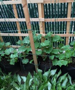 Smart Pot Soft-Sided Fabric Garden Plant Container Aeration Planter Pots, 5 Gallon, 5 Pack, Black 7 911HScWA8FL