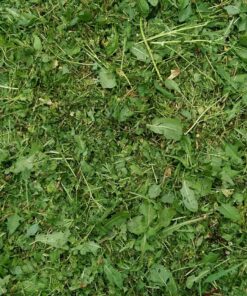 Desert Extrusion Cyclone CY065D1/2 .065" x 300' Commercial Trimmer Line Blue 1 18 911K zF71XL