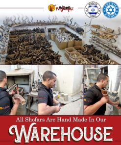 43"-47" Yemenite Shofar Kosher & polish+ Free Bag 15 911P9031m1L 1