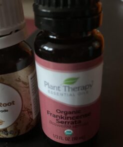 Plant Therapy Organic Frankincense Serrata Essential Oil 100% Pure, USDA Certified Organic, Undiluted, Natural Aromatherapy, Therapeutic Grade 10 mL (1/3 oz) 0.33 Fl Oz (Pack of 1) 30 911TIQMiqVL