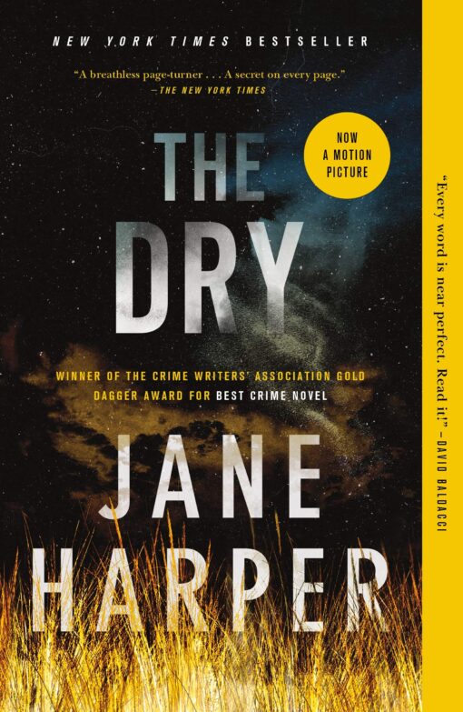 The Dry: A Novel Paperback