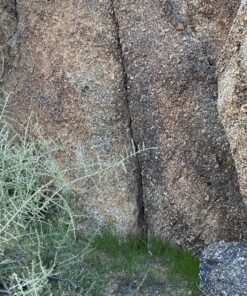 Seek Thermal CompactXR – Outdoor Thermal Imaging Camera for iOS, Black (LT-AAA) 64 911Upv3Lu8L