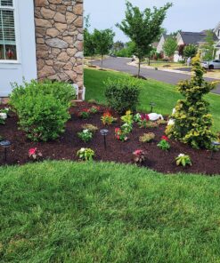 Ohuhu Garden Kneeler and Seat, Heavy Duty Garden Stool with EVA Foam Kneeling Pad, Foldable Gardening Bench with 2 Tool Pouches, 2-in-1 Portable Gardening Supplies, Idea Gifts for Women Men Seniors 48 911aN6Zc5aL