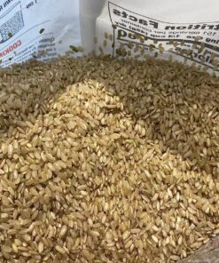 Nishiki Premium Brown Rice, 15-Pounds Bag 15 Pound (Pack of 1) 21 911nmnfsO1L