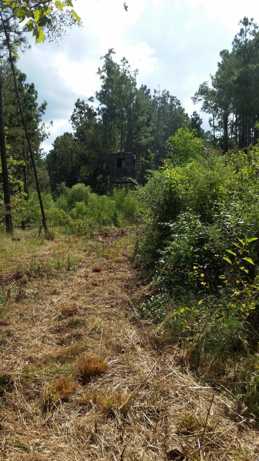 Guide Gear Elevated Deer Hunting Blind, Camo Tent For Tower Stand, 2