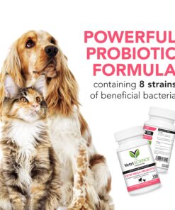 VETRISCIENCE Laboratories Vetri Mega Probiotic and Prebiotic for Dogs and Cats, 120 Capsules - Digestive Relief - Easy to Give Capsules - GI Support 20 91291JINTVL