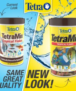 Tetra 16106 Min Tropical Flakes, Nutritionally Balanced Fish Food, 7.06-Ounce 7.06-ounce (Pack of 1) 24 912Cij8HKsL