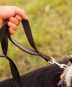 Leashboss 3X - Two Handle Dog Leash with Extra Traffic Handle - Heavy Duty Double Padded Handle Lead for Walking and Training Large Dogs - Large Dog Leash for Control and Training 19 912JAuwcKyL