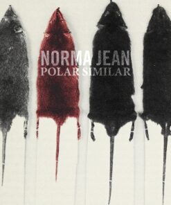 Polar Similar Polar Similar