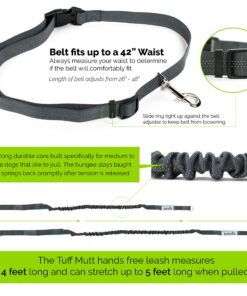Tuff Mutt Hands Free Dog Leash For Running That Makes A Great Waist Leash for Dog Walking, Double Handle Bungee Leash with Reflective Stitching and Adjustable Dog Walking Belt green/gray 30 912TLjvsYQL