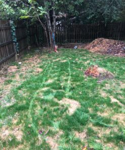 Scotts Turf Builder WinterGuard Fall Weed & Feed3, Weed Killer Plus Fall Fertilizer, 5,000 sq. ft., 14.29 lbs. 5,000 sq. ft. 34 912crsBLzJL