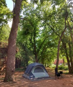 Coleman Skydome Camping Tent, 2/4/6/8 Person Family Dome Tent with 5 Minute Setup, Strong Frame can Withstand 35MPH Winds, Roomy Interior with Extra Storage Included Blue 4-person 50 912kcduNgGL