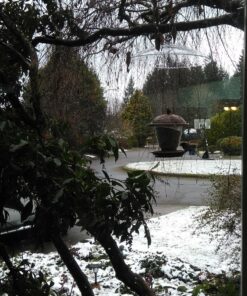 Perky-Pet 340 Transparent 16-Inch Squirrel Baffler 28 912o JUMpvL