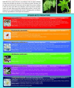 2,000 Live Adult Predatory Mites - A Mix of Predatory Mite Speciesl - Ships Next Business Day!l 11 912oZ MpK8L