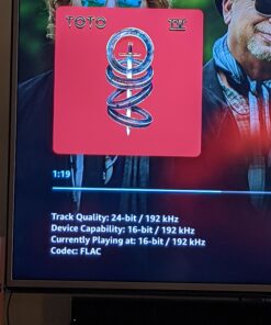 1Mii HiFi Bluetooth 5.0 Music Receiver for Home Stereo with LDAC, Bluetooth Audio Adapter with Audiophile DAC aptX HD, RCA Optical Output for AV Receiver or Stereo Amplifier - Lavaudio DS200Pro Black 41 912sBYDrRbL