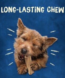 Busy Purina Busy Bone Dog Chew Mini Dog Treats for Small Dogs, (2) 12 ct. Pouches 12 Count (Pack of 2) 15 912uFlzmAkL