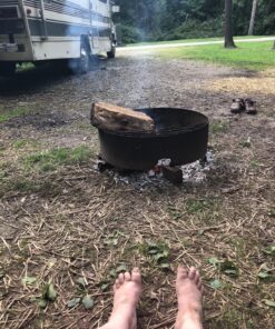 Porta-Pak Holding Tank Deodorizer Drop-Ins by Walex, Controls Unpleasant Odors Even at Extreme Temperatures, Commercial Strength, Fresh Fragrance, Made In The USA, 10 Treatments 10 Count (Pack of 1) 35 9137vOJYjbL