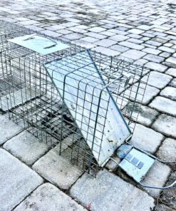 Havahart 1079SR Large 1-Door Humane Catch and Release Live Animal Trap for Raccoons, Cats, Bobcats, Beavers, Small Dogs, Groundhogs, Opossums, Foxes, Armadillos, and Similar-Sized Animals 35 913PIFuL