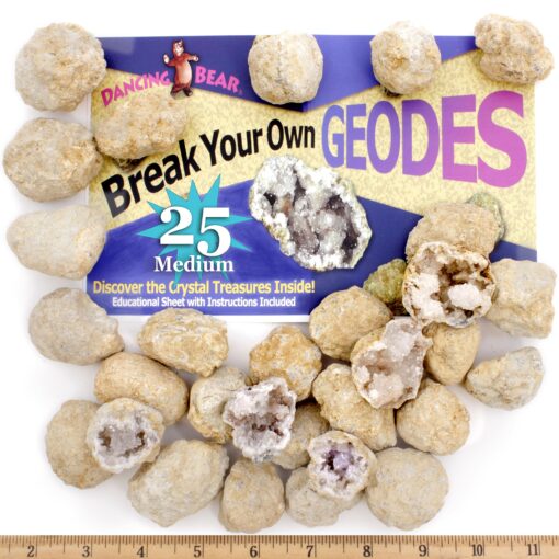 DANCING BEAR 25 Break Your Own Geodes, (Medium 1-1.5") 90% Hollow, Crack Open & Discover Amazing Surprise Crystals Inside! Educational Info and Instructions Included, Fun Party Favors & Prizes Medium (1-1.5")