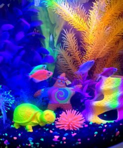 GloFish Aquarium Fish Tank Kits, Includes Fish Tank Decorations and LED Lighting, Tetra Filter and Water Conditioner 5-gallon crescent kit 29 913WF7Vc4wL