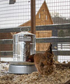 Manna Pro Chicken Supplies | Chicken Waterer Heated Base | Harris Farms Poultry Drinker | Chicken Coop Accessories Drinker Base 18 913ipVhkGqL
