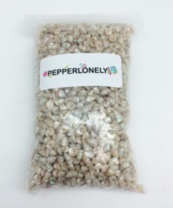 PEPPERLONELY Trochus Tiny Sea Shells, 6 OZ Apprx 1/4 Inch 6#. Trochus Tiny Shells 1/4" 6 913oQIa2qKL
