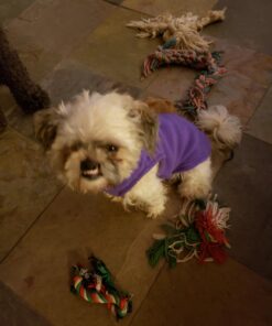 Gooby Fleece Vest Dog Sweater - Lavender, Medium - Warm Pullover Fleece Dog Jacket with O-Ring Leash - Winter Small Dog Sweater Coat - Cold Weather Dog Clothes for Small Dogs Boy or Girl Medium chest (~16") 41 914NciFCwhL