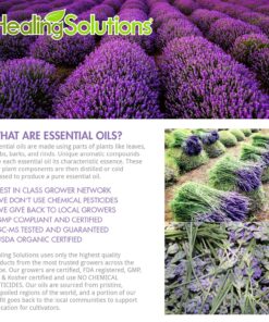 Healing Solutions 10ml Oils - Kashmir Lavender Essential Oil - 0.33 Fluid Ounces 0.33 Fl Oz (Pack of 1) 14 914RJXTIIL