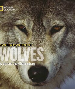 Face to Face With Wolves (Face to Face with Animals)