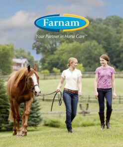 Farnam SWAT CLEAR Horse Fly Control for Horses, Ponies and Dogs, 7 ounce jar 31 914qMyEM VL 1