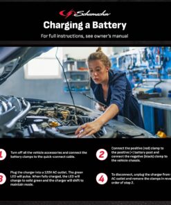 Schumacher SC1299 Fully Automatic Direct Wall-Plug Battery Maintainer - 800mAh, 12V - For Car, Motorcycle, Lawn Tractor, Power Sport, Marine Batteries .8A 12V Maintainer 11 914xNPpntOL