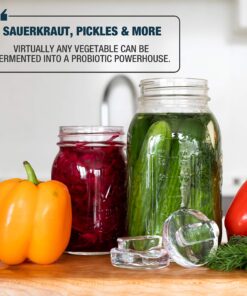 Fermentology Sauer Stone Glass Weights – Pickling and Fermenting Weights - Set of 4 - Wide Mouth Mason Jar Fermentation Wide Mouth 4PK 10 91583l73HOL