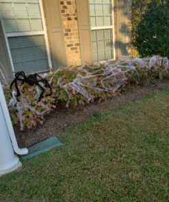 Fun World Costumes Spider Web Decoration Standard 21 915Jyyq9u6L