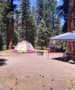 Texsport Portable Outdoor Camping Shower Privacy Shelter Changing Room, Gray, 1 Count (Pack of 1) 56 915NLkw4LAL