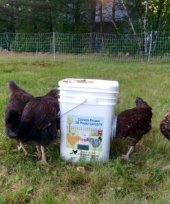 RentACoop 20 Pounds BPA-Free Chicken Feeder with Large Ports - Includes Lid, Anti-Roost Cone, Rain Hoods - Suitable for Chickens - Center Placement 28 915PqsrLmtL