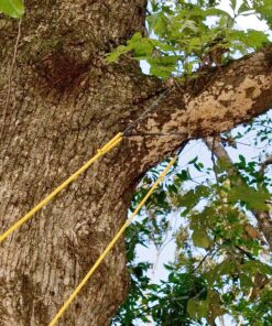 Alternative view of High Limb Brand CS-24